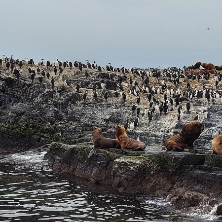 Seal Beach, La Jolla